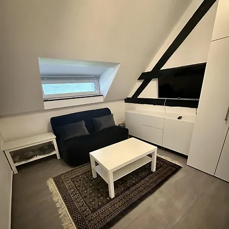 Alte Scheune Apartment *
