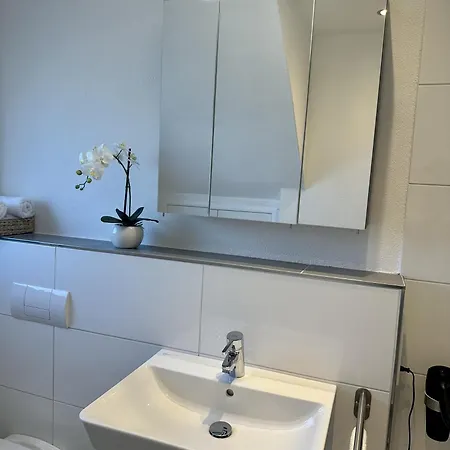 Alte Scheune Apartment Drolshagen