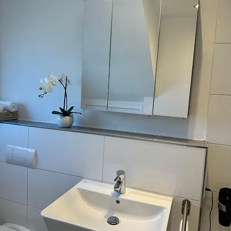 Alte Scheune Apartament