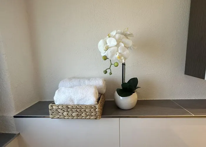 Alte Scheune * 德罗尔斯哈根